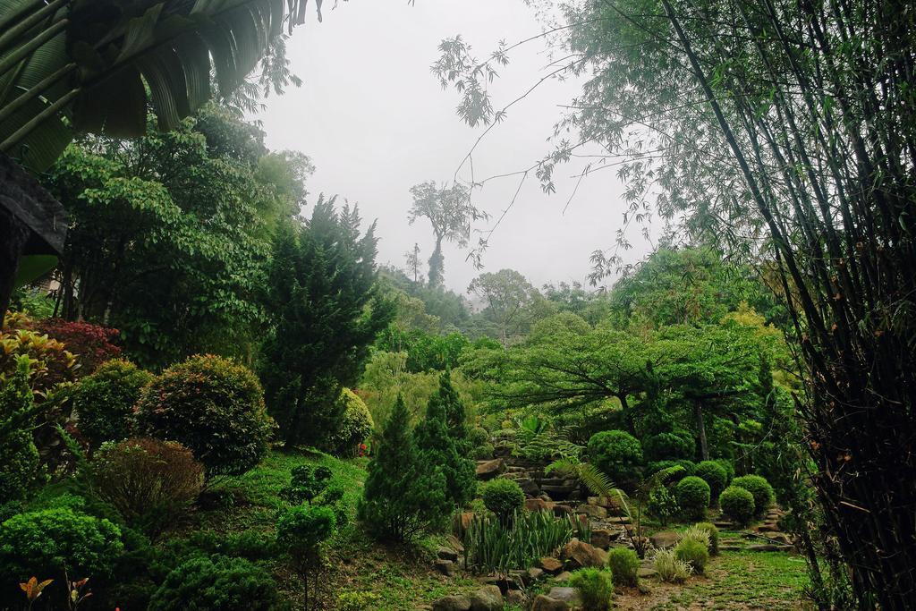 Harmony Valley Retreat Bukittinggi Buitenkant foto