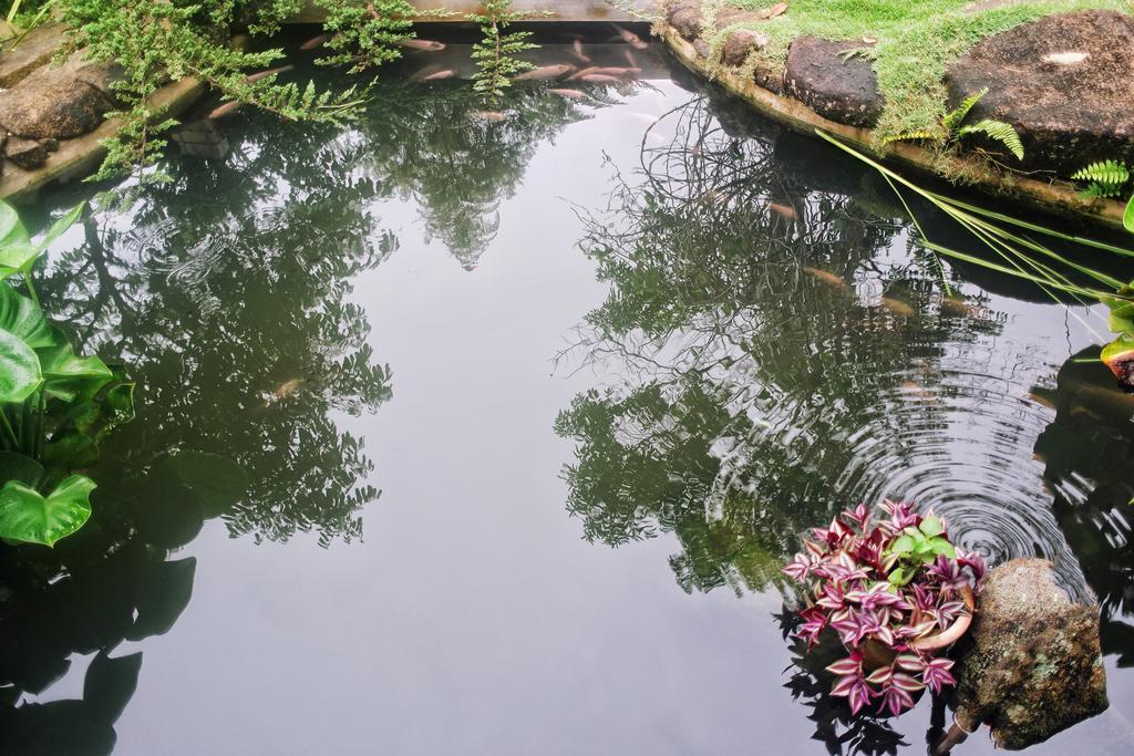 Harmony Valley Retreat Bukittinggi Buitenkant foto